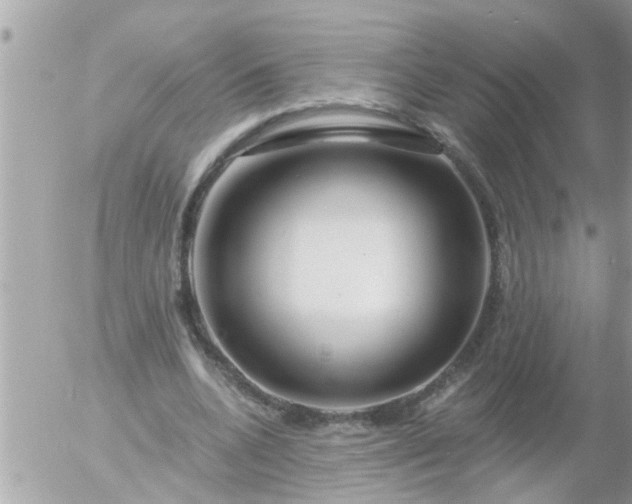 X0000055520536200508262208