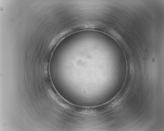 X0000055520537200508262208