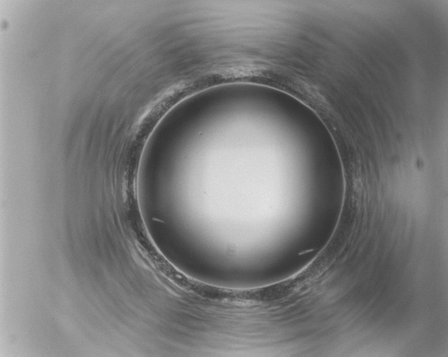 X0000055520539200508262208