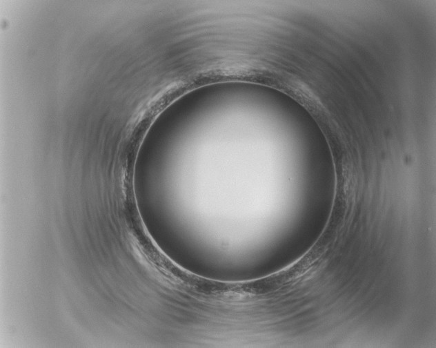 X0000055520542200508262208