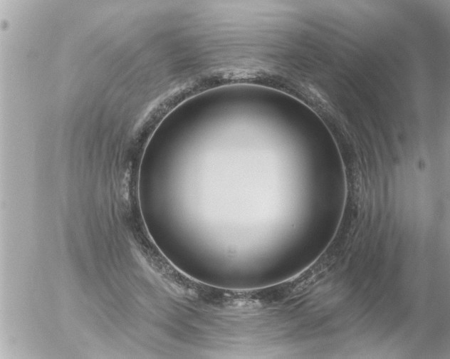 X0000055520543200508262208