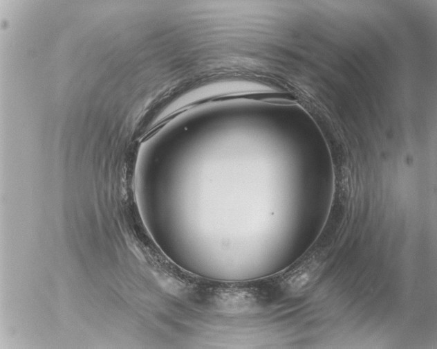 X0000055520547200508262208