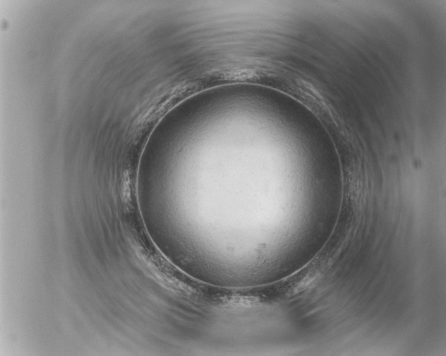 X0000055520549200508262208