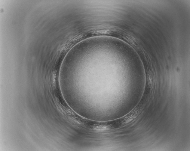 X0000055520551200508262208