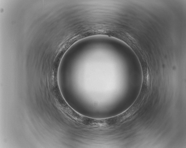 X0000055520552200508262208