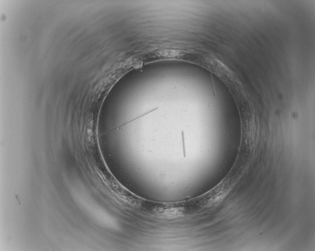 X0000055520553200508262208