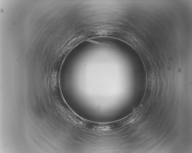 X0000055520554200508262208