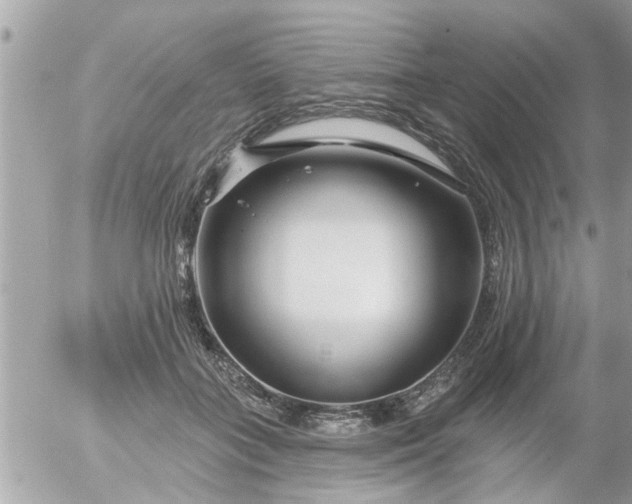 X0000055520555200508262208