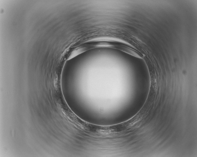 X0000055520556200508262208