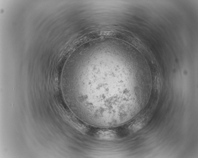 X0000055520557200508262208