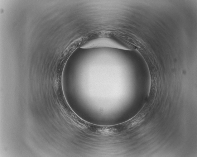 X0000055520558200508262208