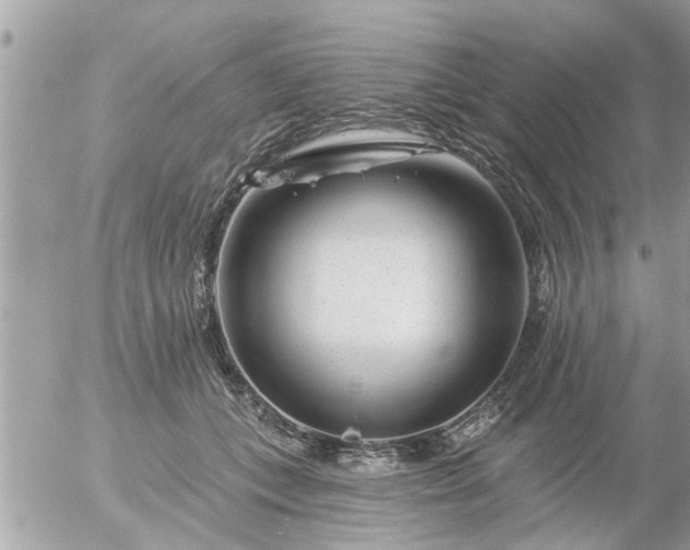 X0000055520559200508262208