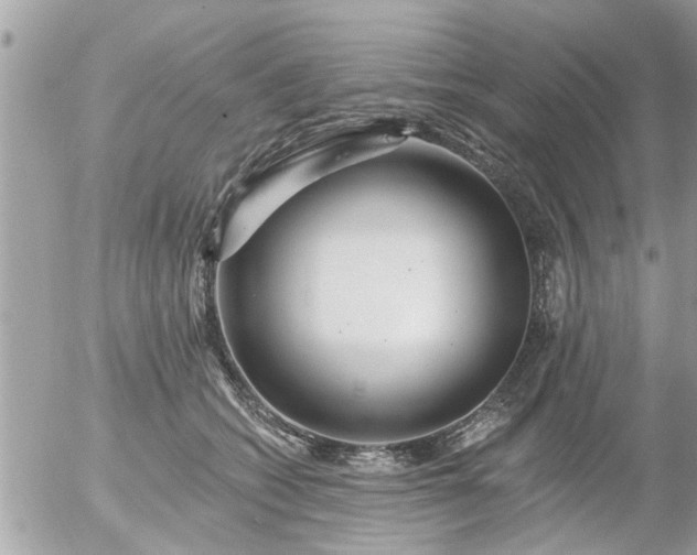 X0000055520562200508262208