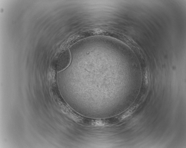 X0000055520565200508262208