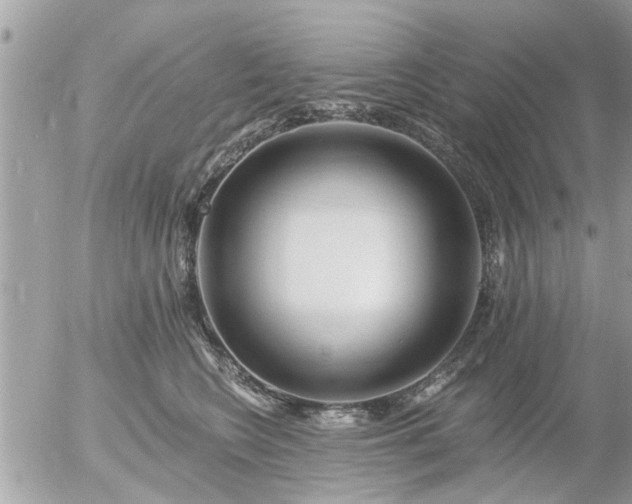 X0000055520566200508262208