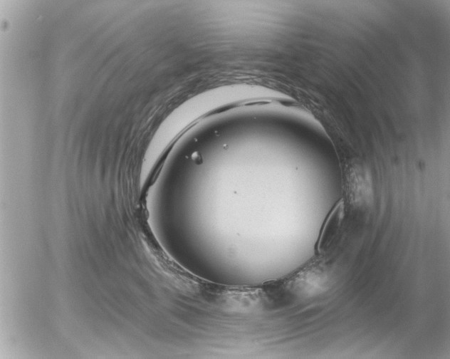 X0000055520571200508262208