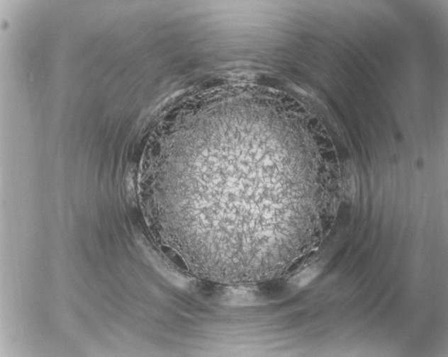 X0000055520573200508262208