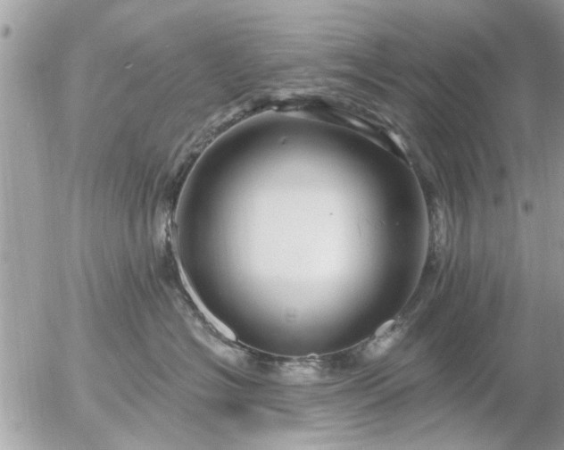 X0000055520574200508262208