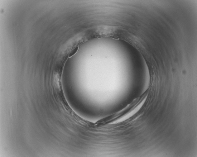 X0000055520575200508262208