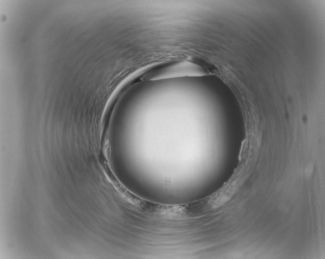 X0000055520576200508262208