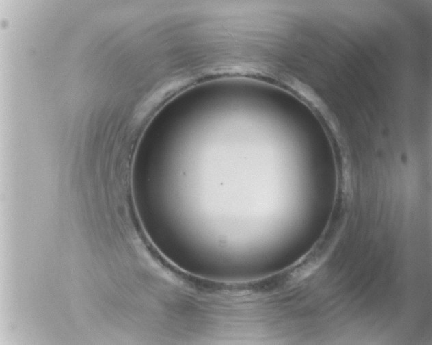 X0000055520577200508262208