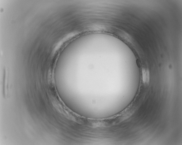 X0000055520579200508262208