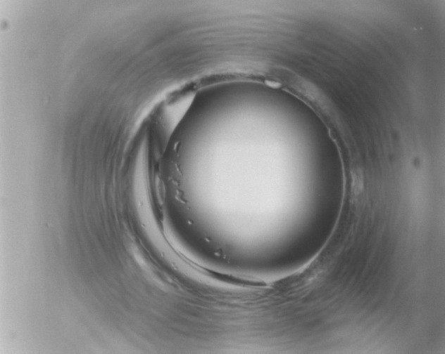 X0000055520580200508262208