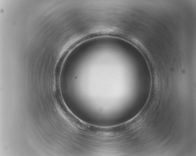 X0000055520582200508262208