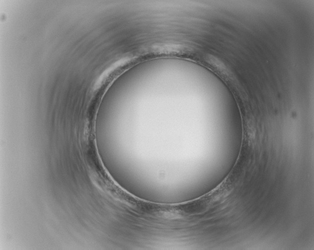 X0000055520583200508262208