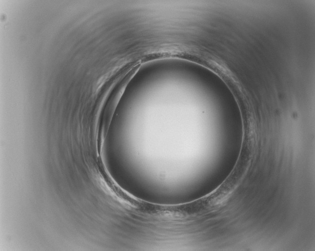 X0000055520585200508262208