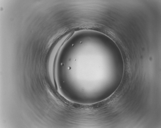 X0000055520586200508262208