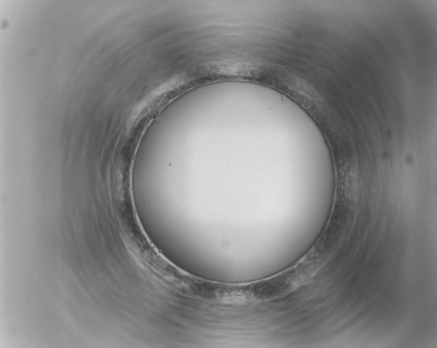 X0000055520587200508262208