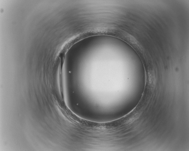 X0000055520588200508262207