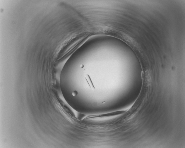 X0000055520589200508262207