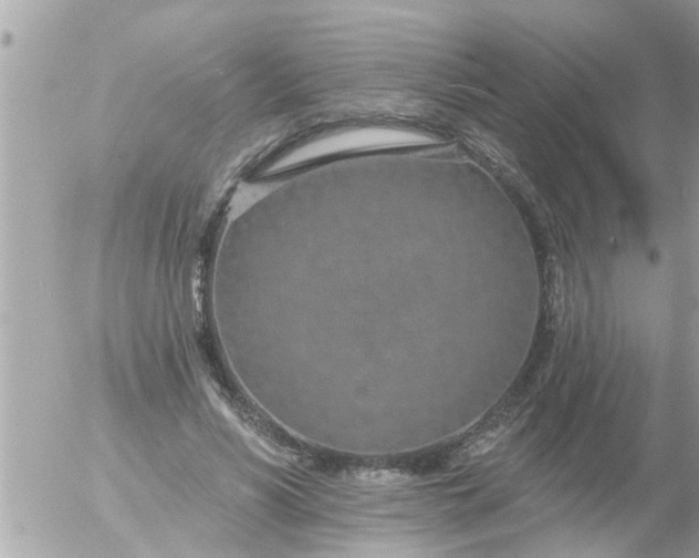 X0000055520590200508262207