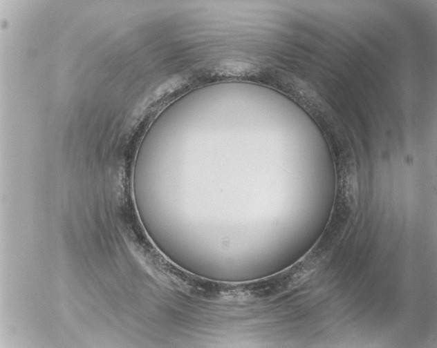 X0000055520591200508262207