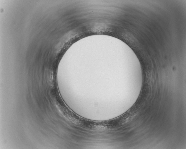 X0000055520592200508262207