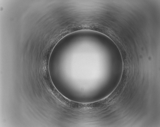 X0000055520593200508262207