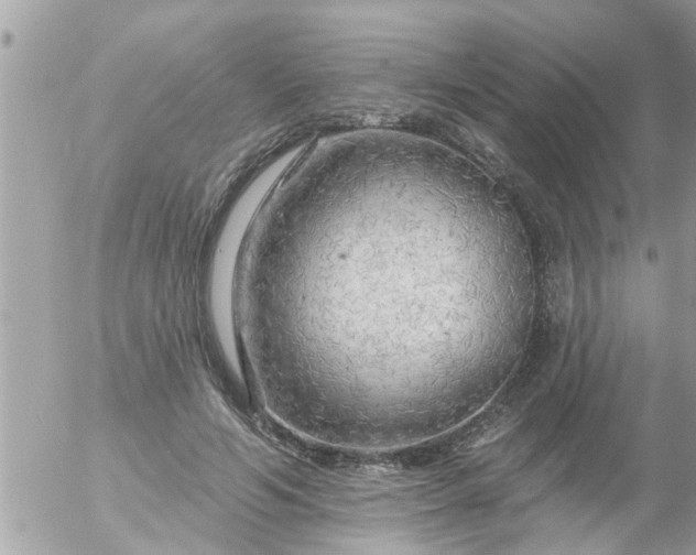 X0000055520594200508262207