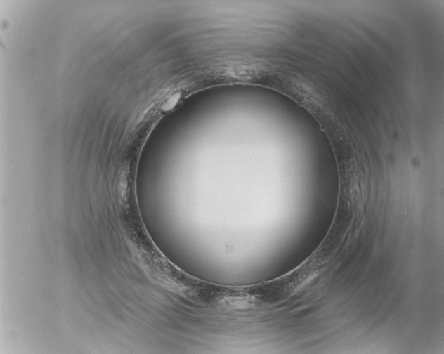 X0000055520595200508262207