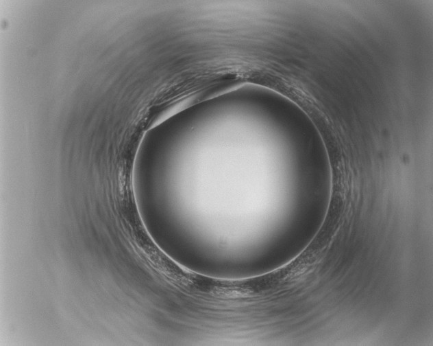 X0000055520597200508262207