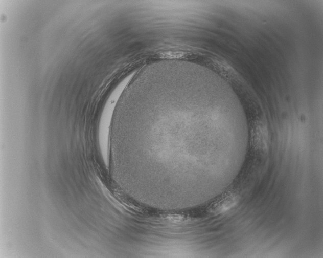 X0000055520598200508262207