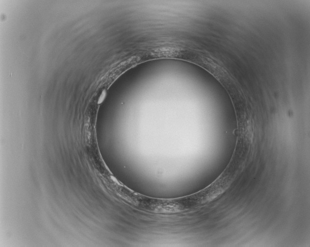 X0000055520599200508262207