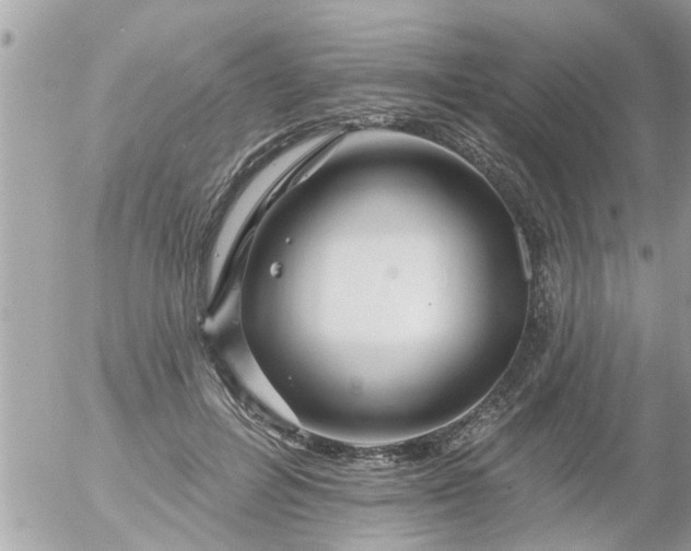 X0000055520600200508262207