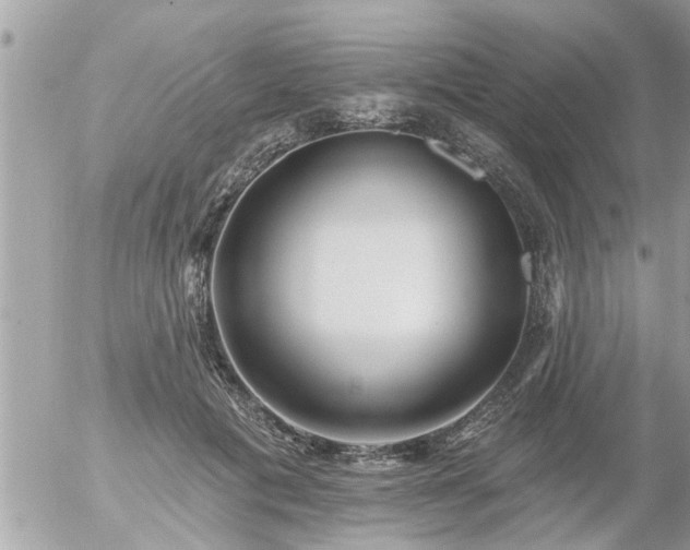 X0000055520601200508262207