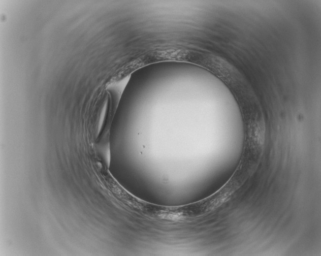 X0000055520602200508262207