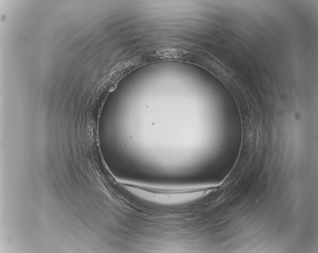 X0000055520603200508262207