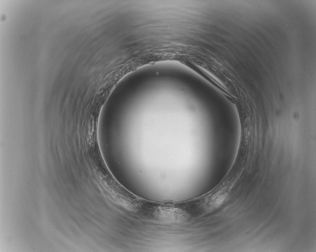 X0000055520605200508262207