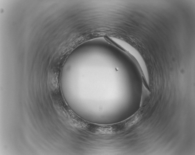 X0000055520606200508262207