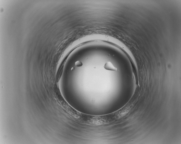 X0000055520608200508262207